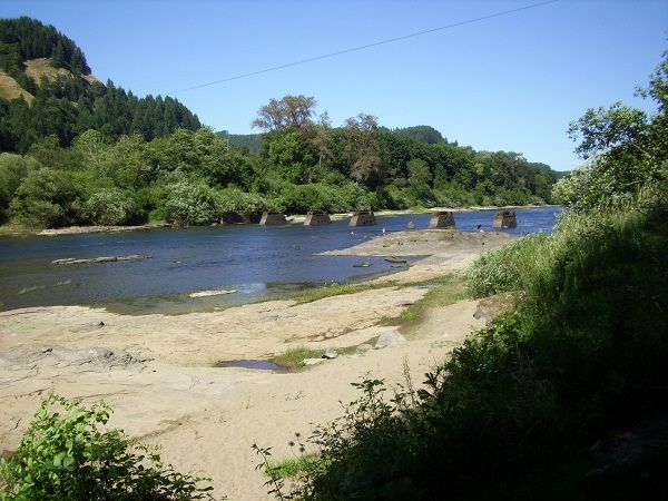 495.jpg