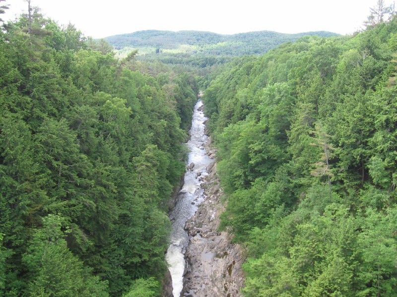 549.jpg