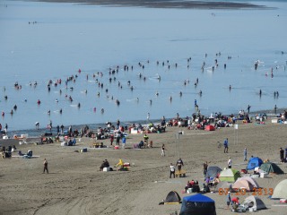 BelugaBeach3_281.JPG