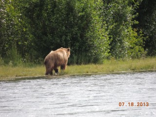 bear3_297.JPG