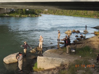 bridgefish_282.JPG