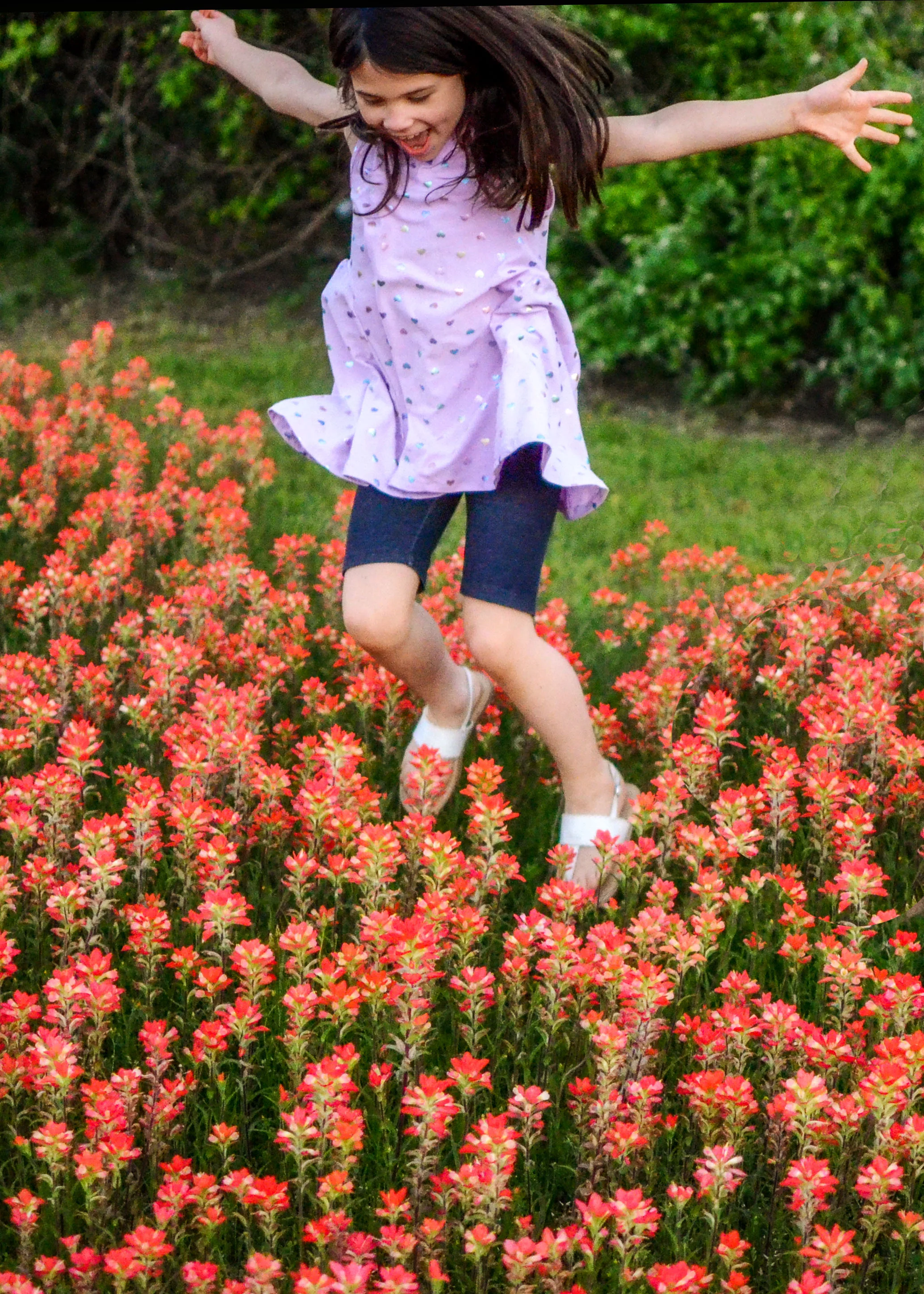 DSC_0152 DM.webp