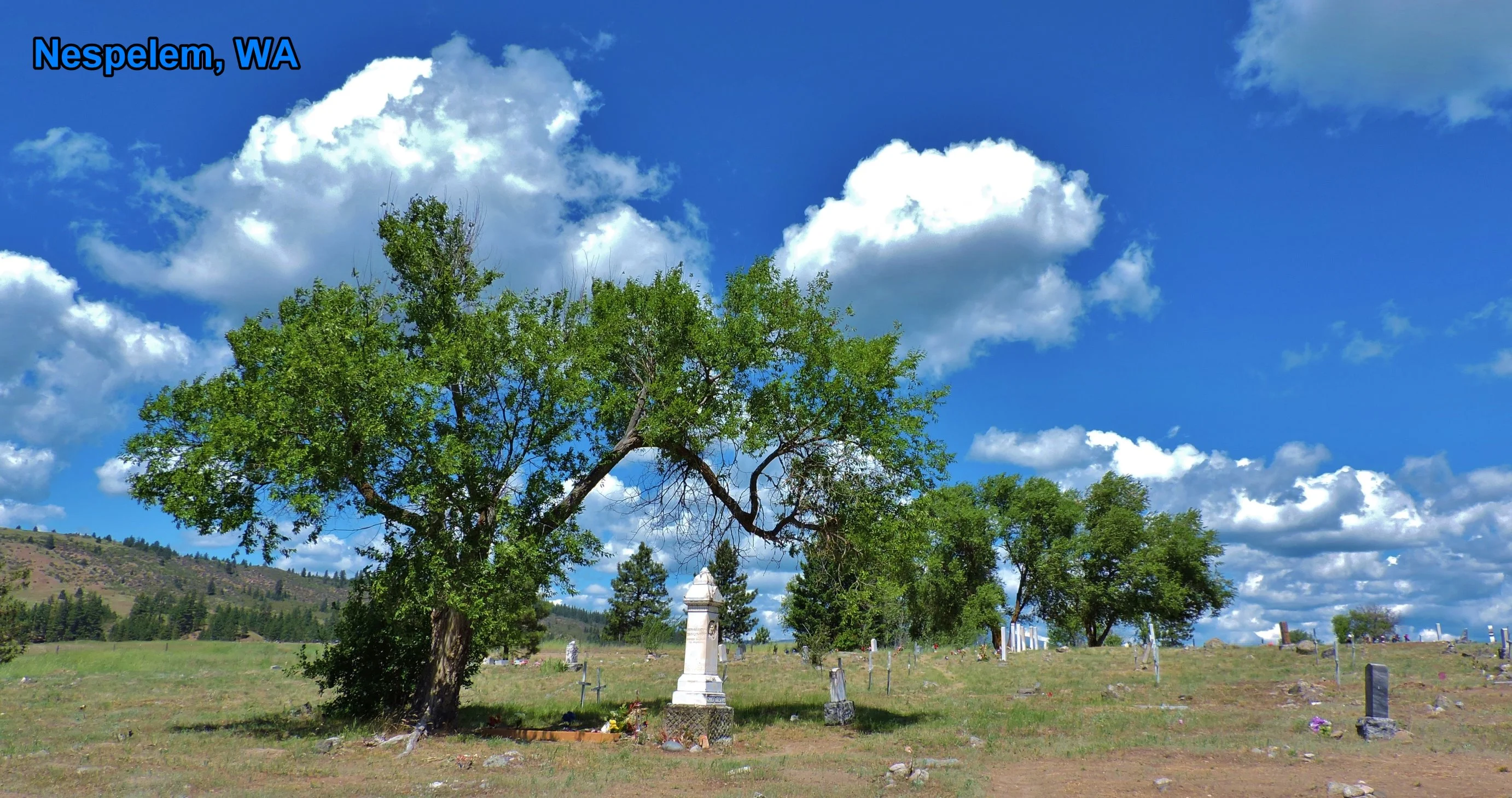 DSCN8918.webp