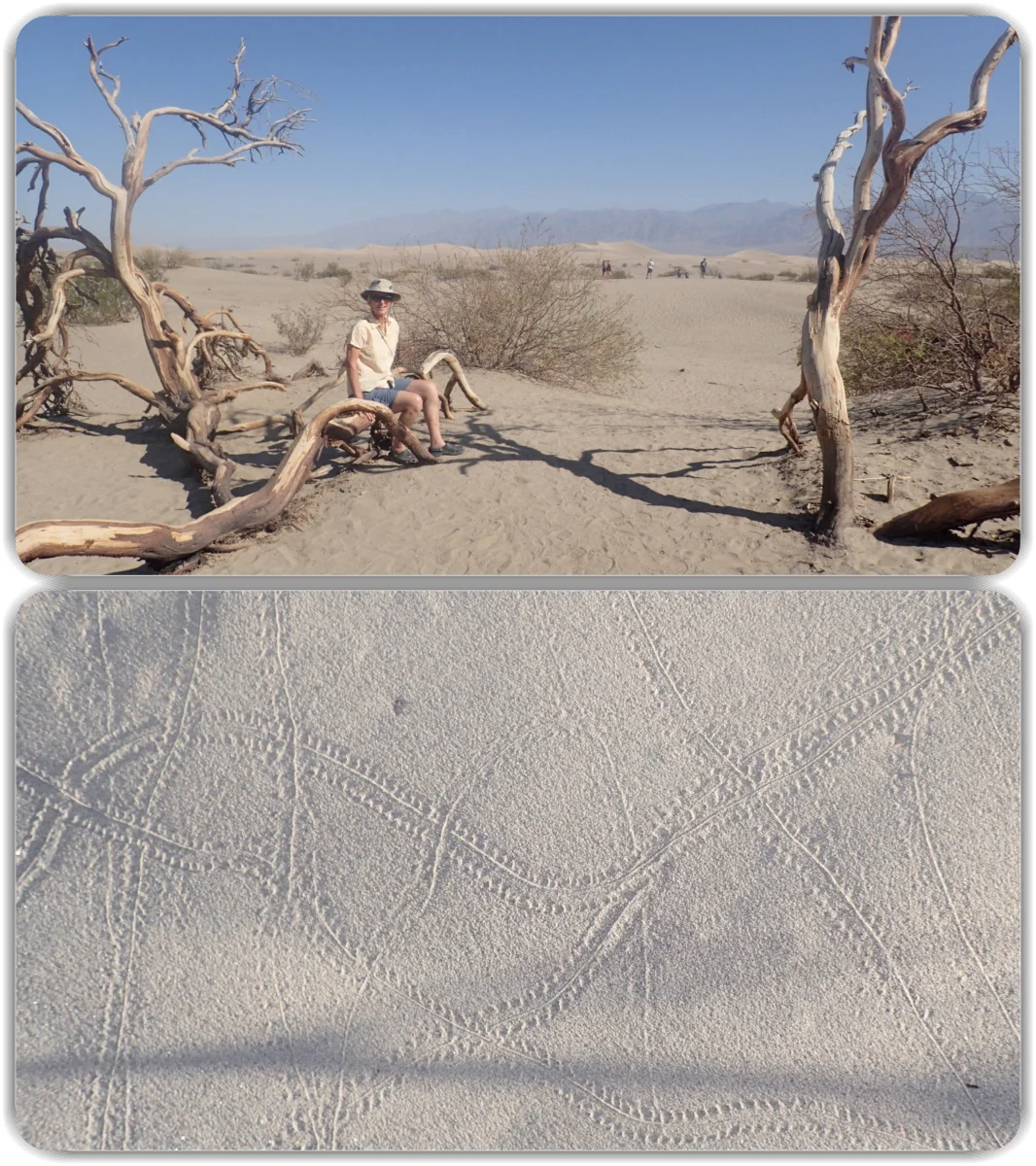 Points West 2016.048.webp