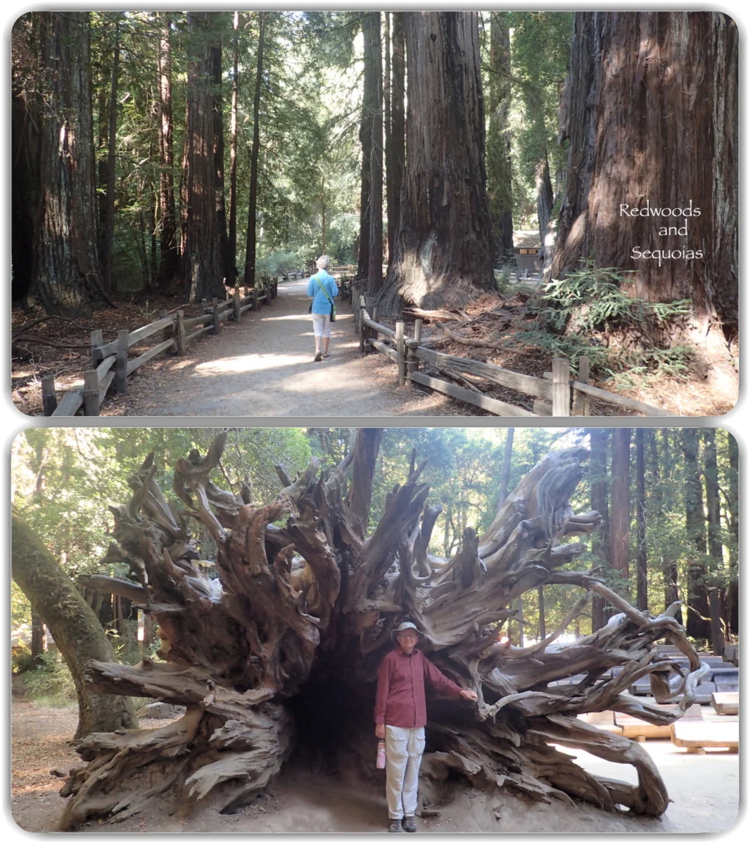 Points West 2016.070.webp