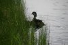 IMGP7375.webp