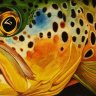TroutBum