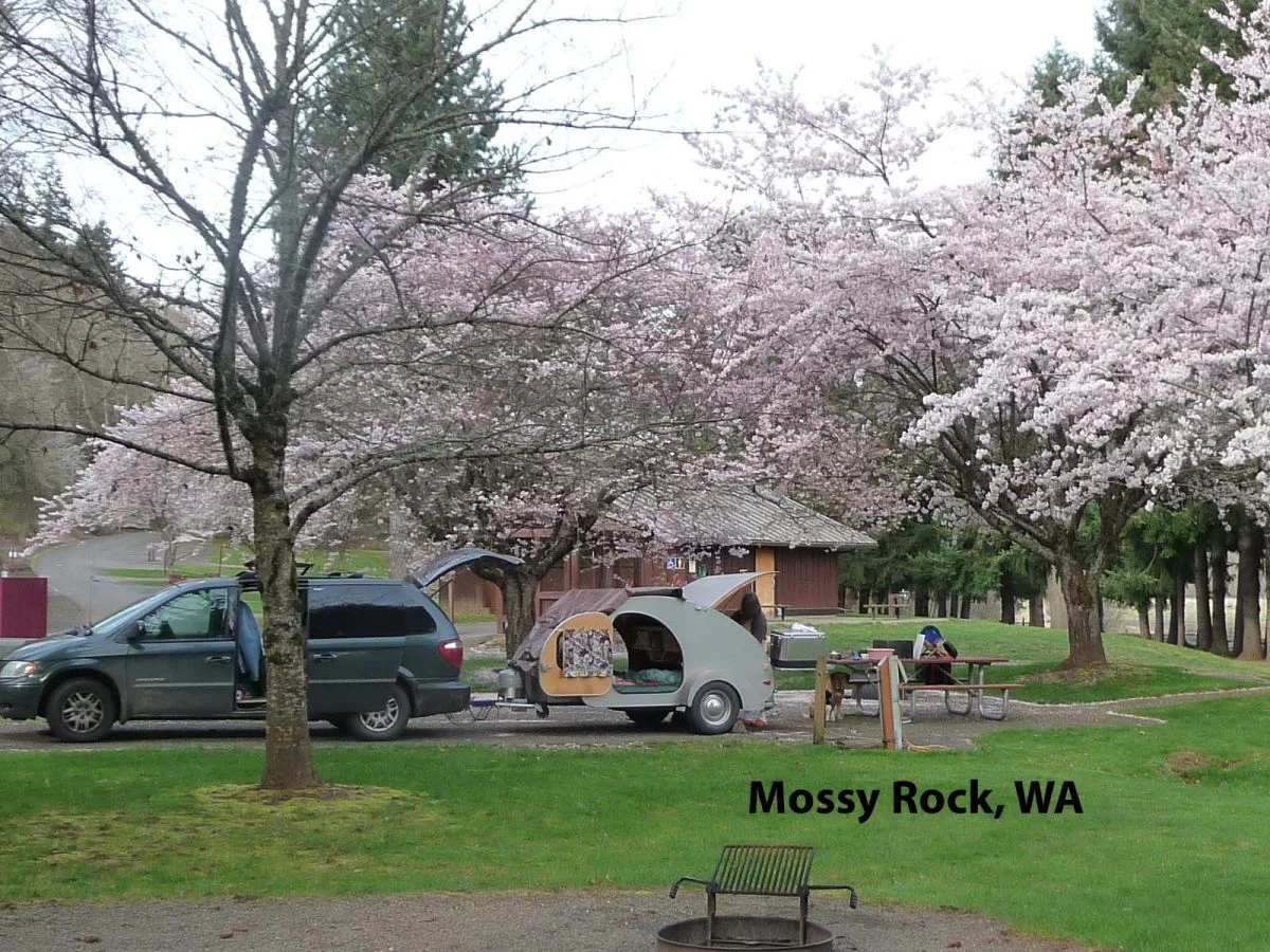 100 Nights - 1550.jpg