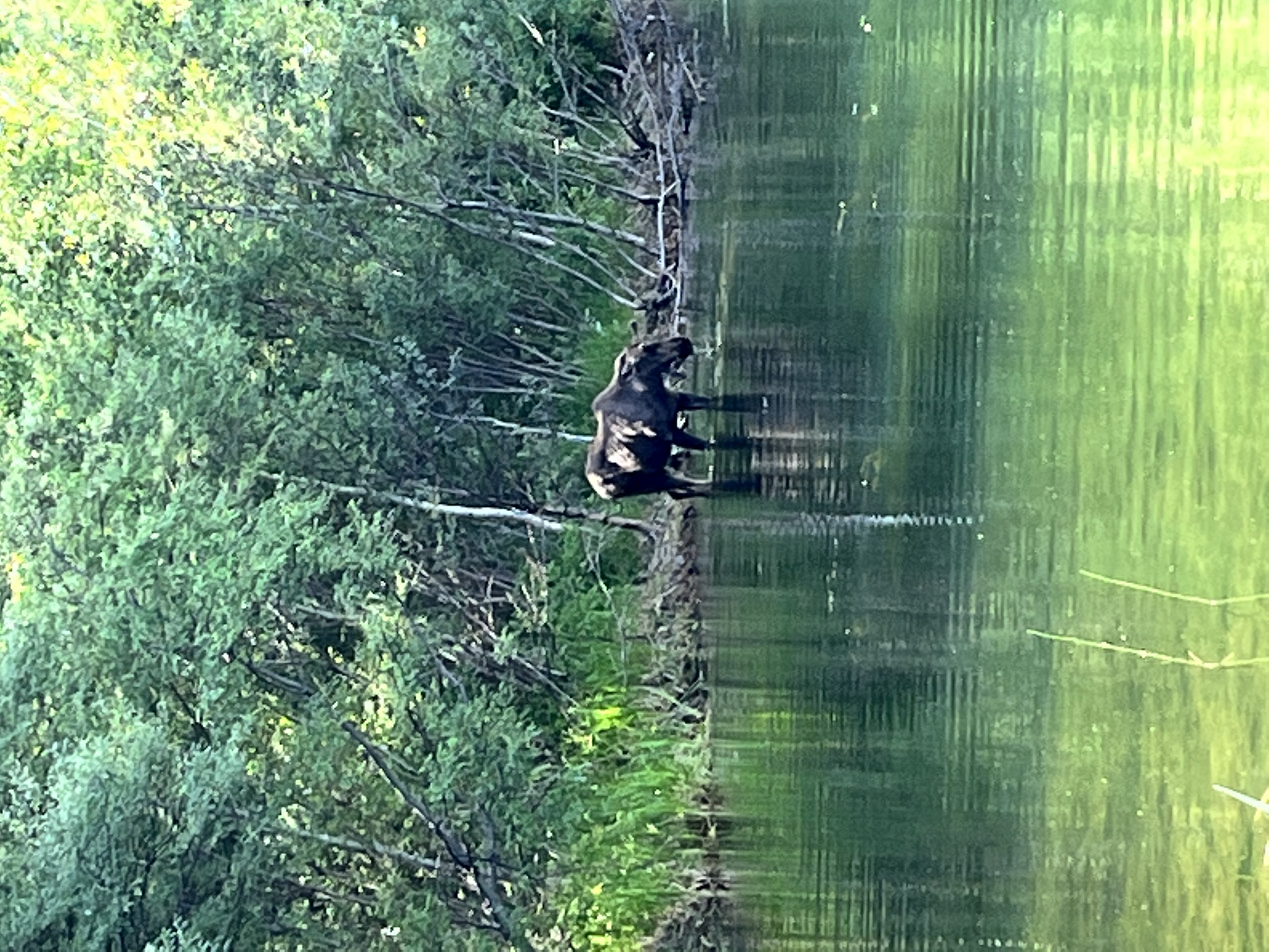 11226504-79CB-436E-B6CD-A2E495150C82