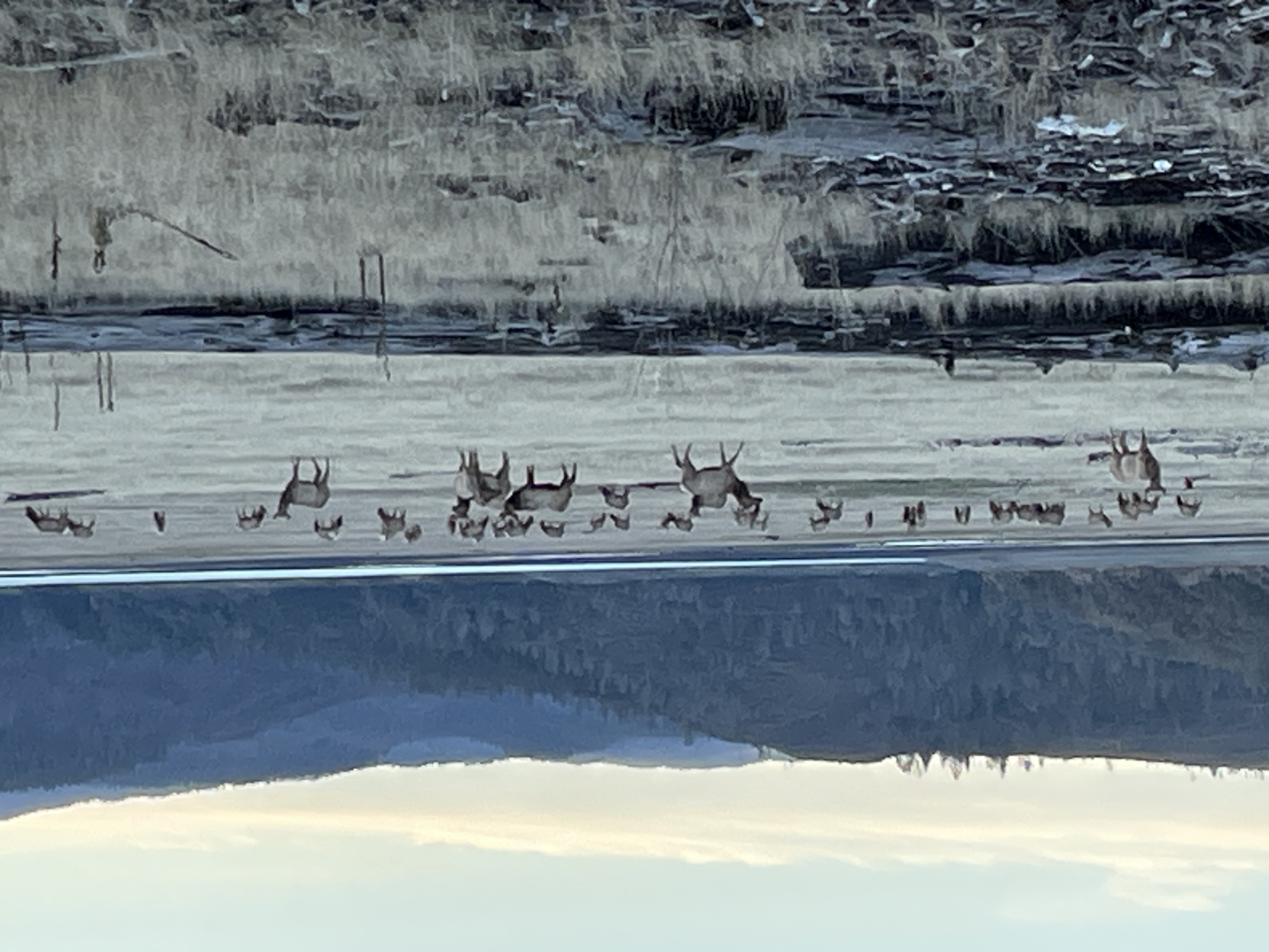 2023-11-21_16-29-45_508