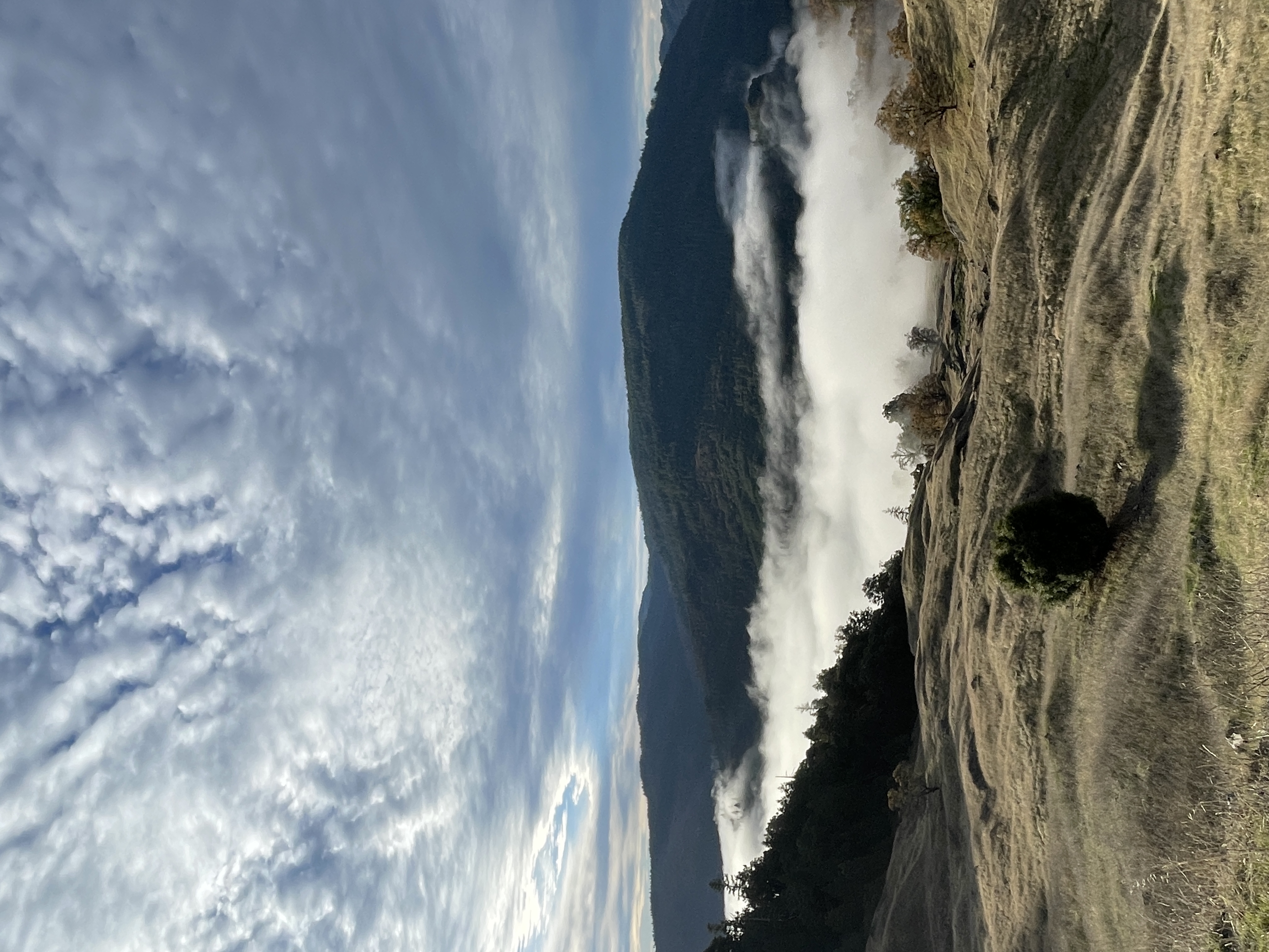 2023-11-22_08-17-04_587