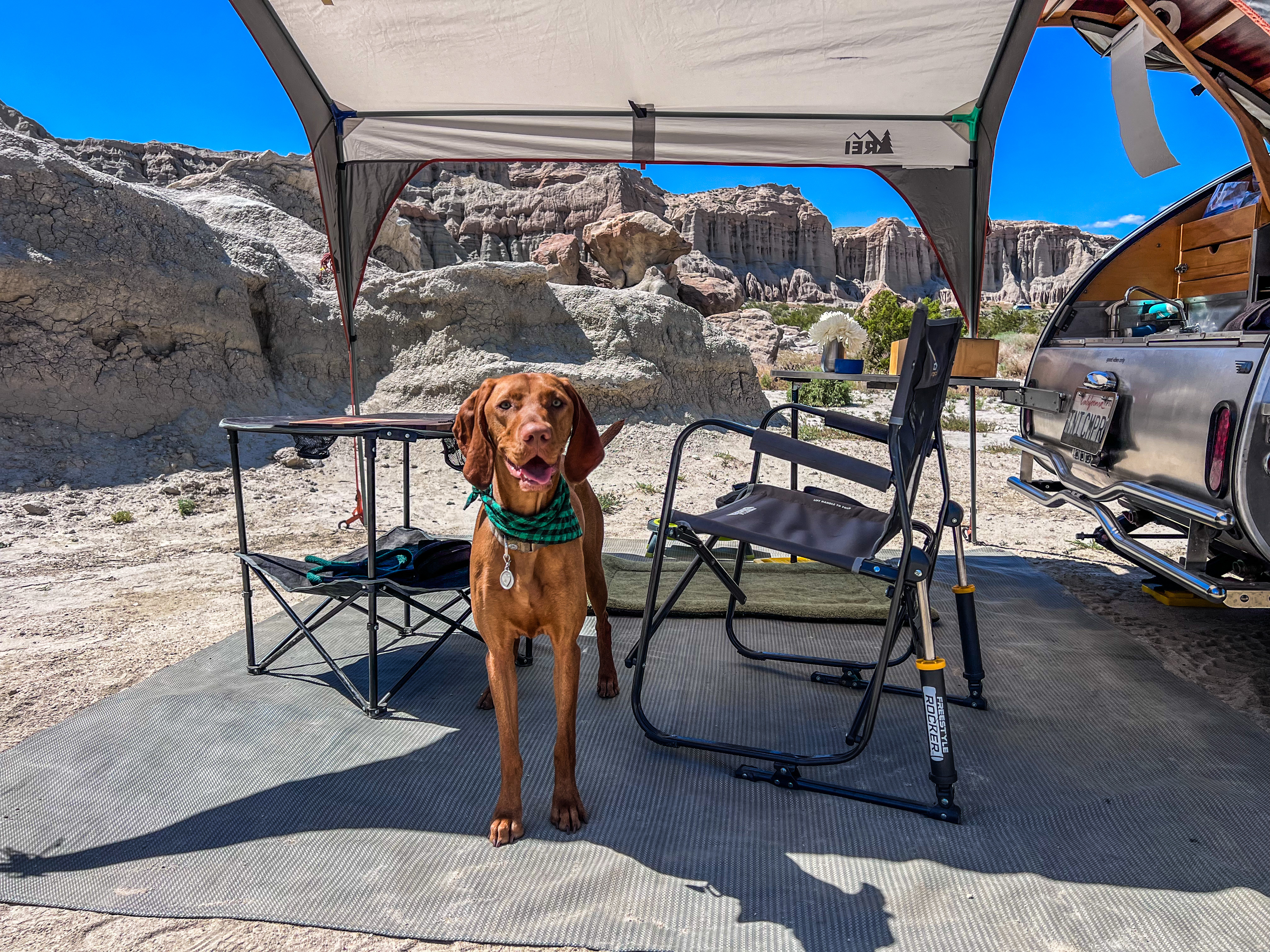 5BEFDD49-7B23-4812-A335-1B7AA00ED1F7