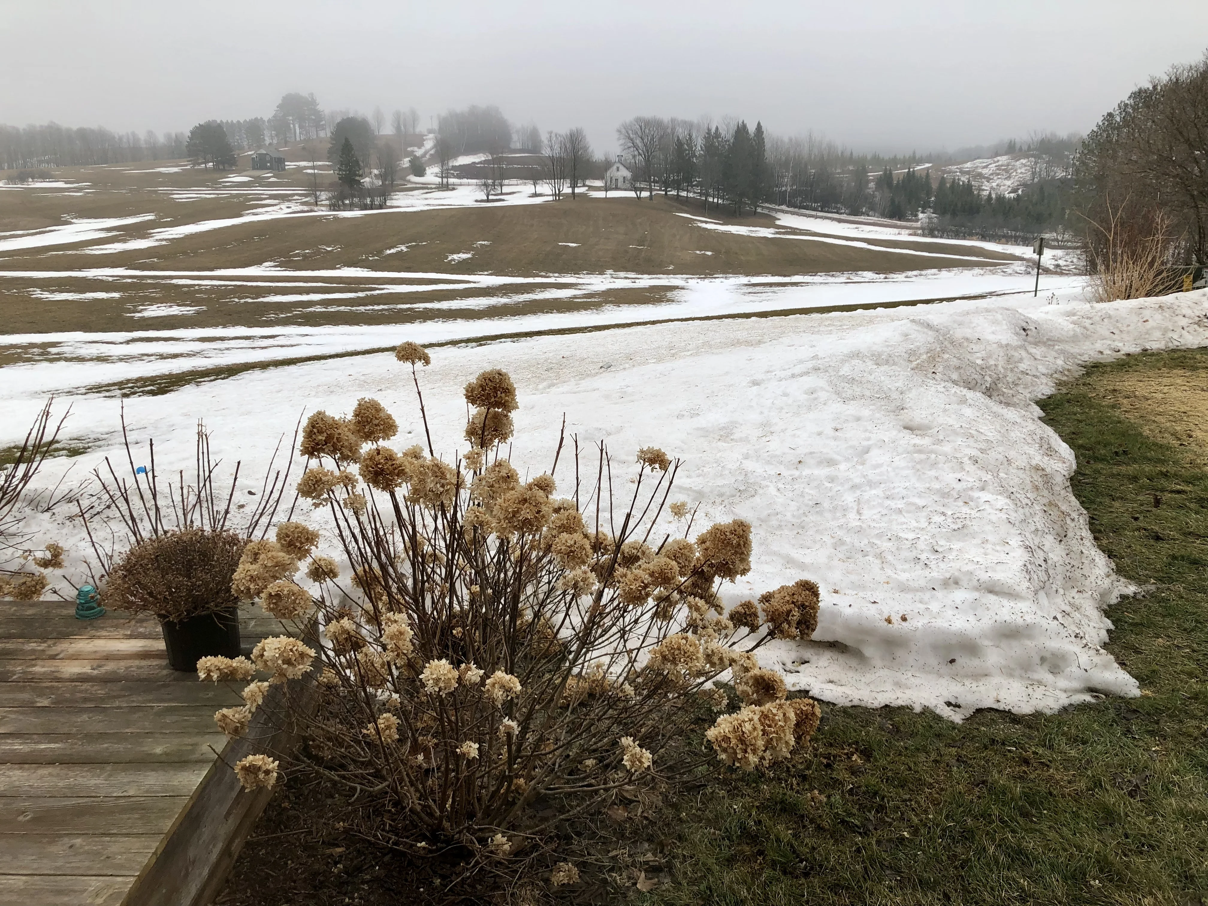 B34041BF-C07C-4823-87A8-9059E49FFEB5