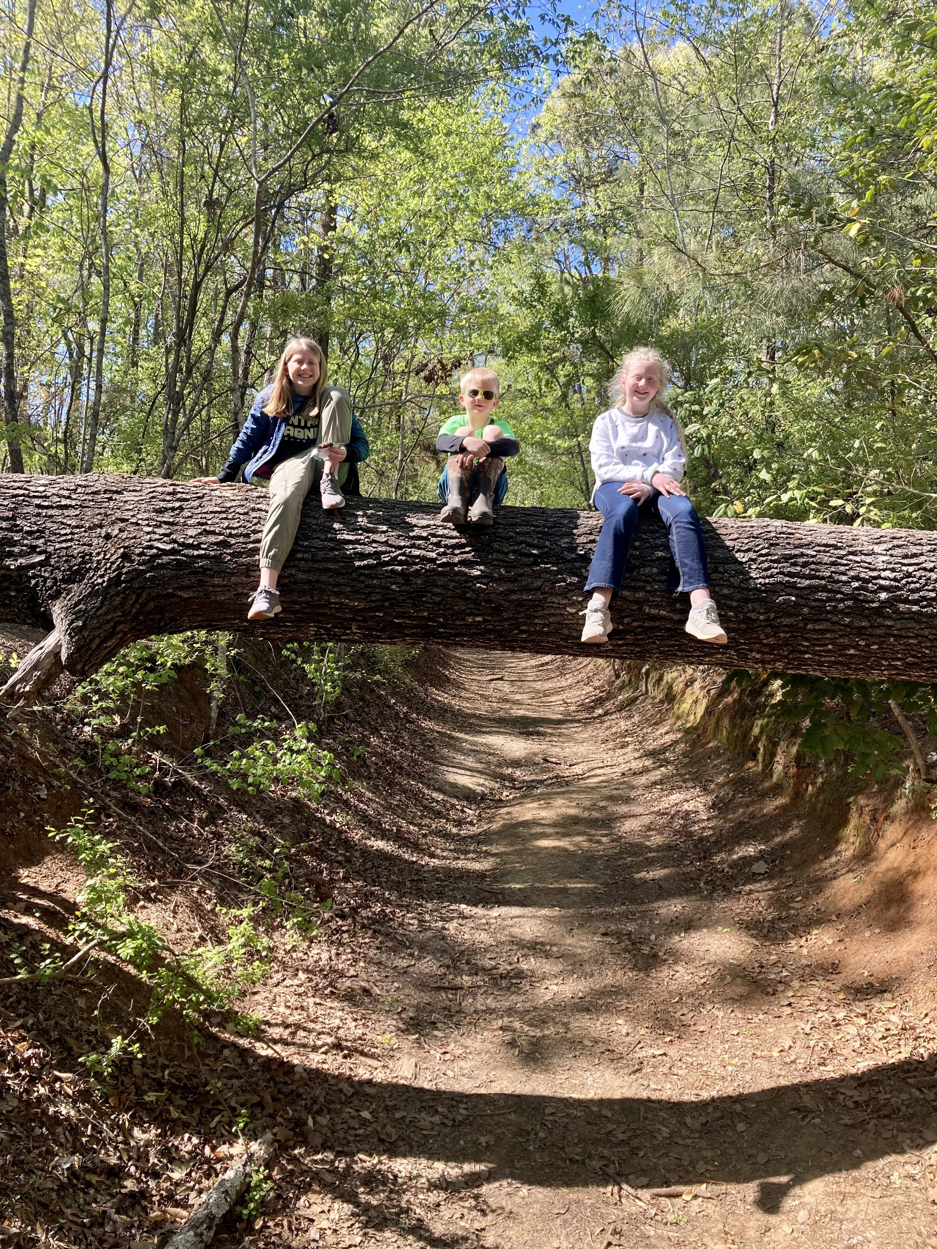 B971EB43-3356-4870-B392-5235E574D143