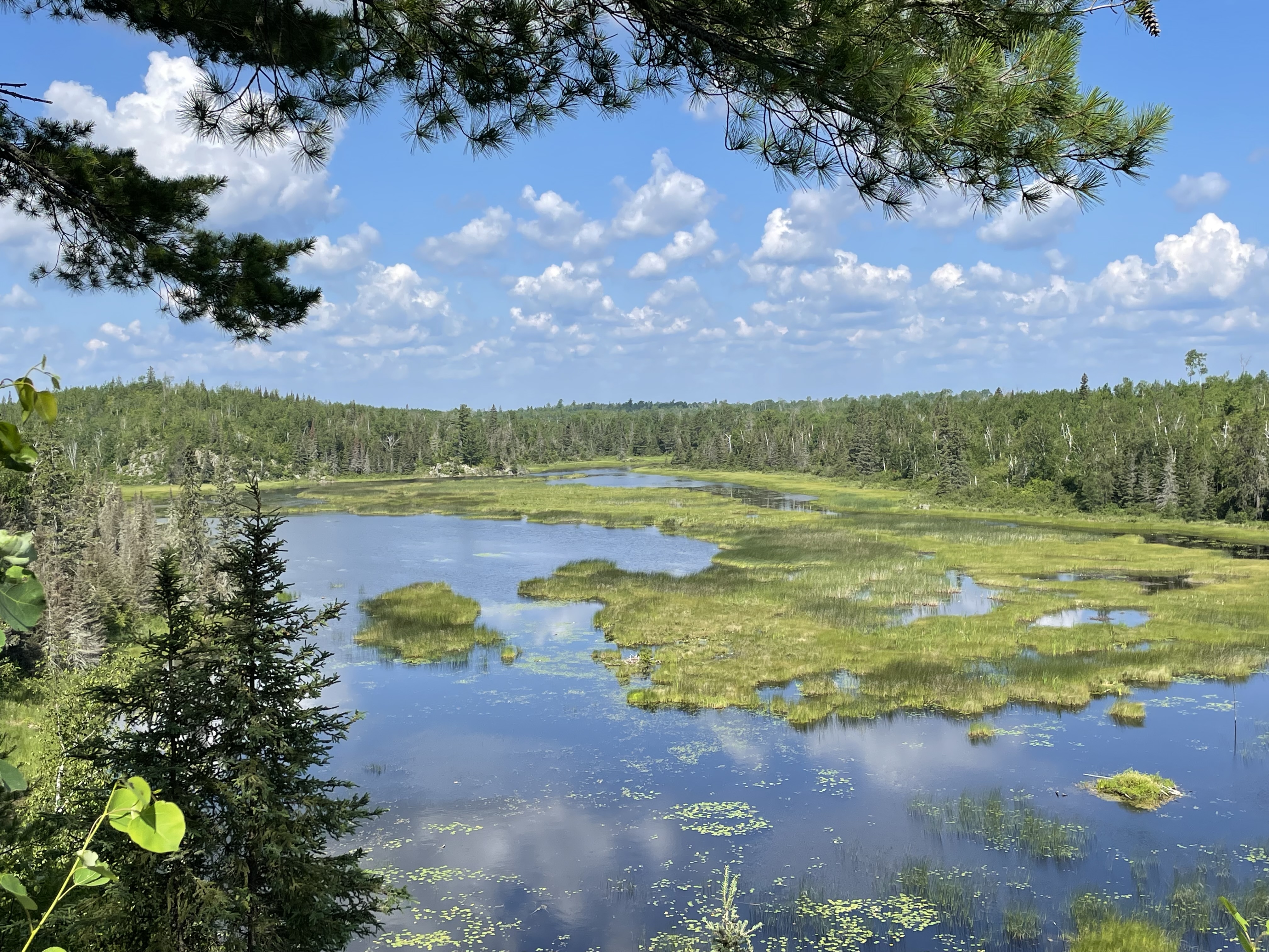 Beaver lake