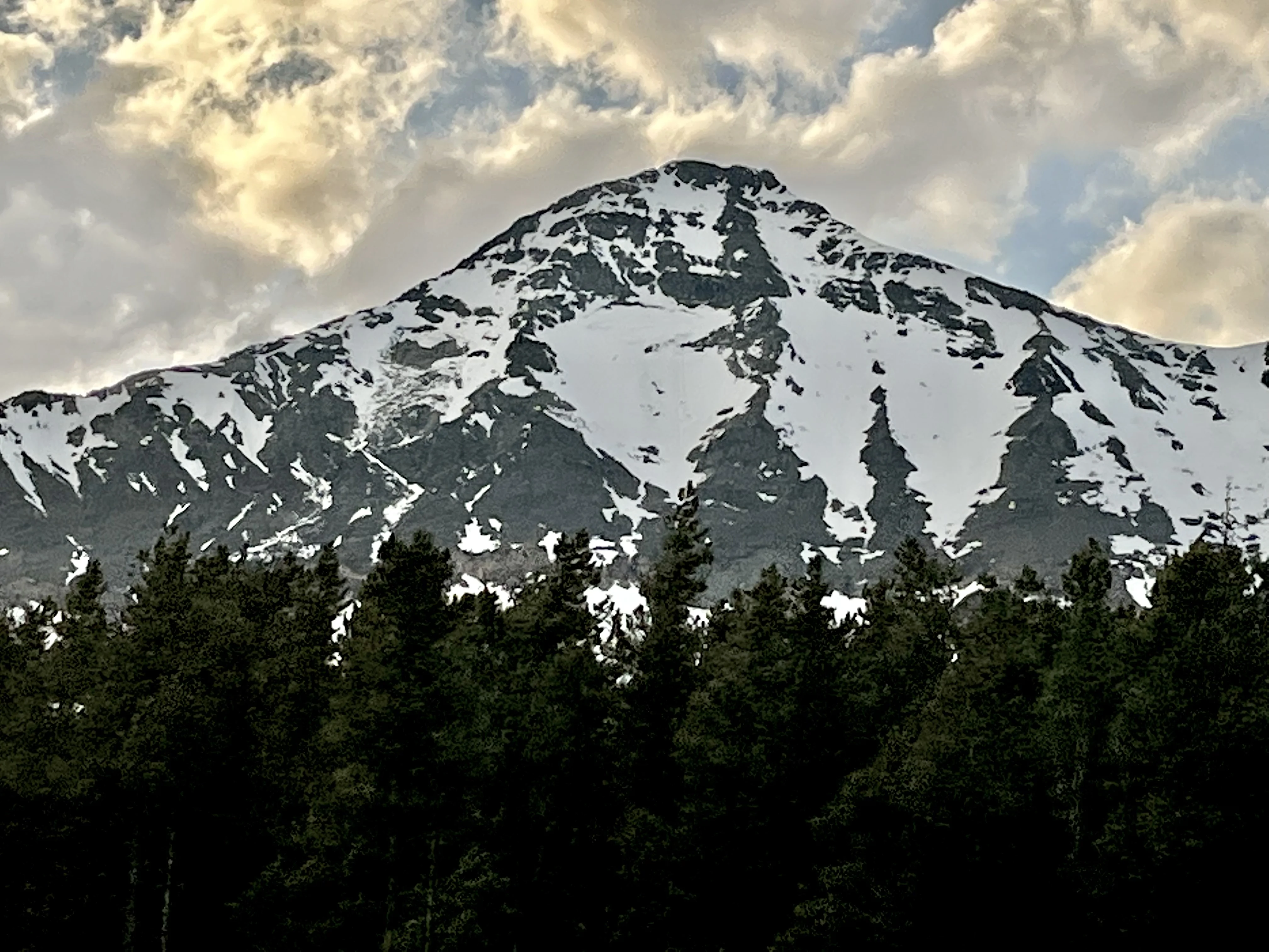 D7178161-1BD6-44C9-BE1D-9FF31330A88C