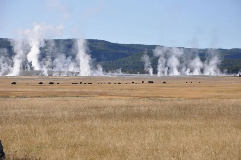 Long Haul - 1045.jpg