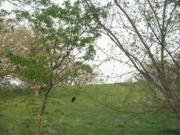 Long Haul - 1140.jpg