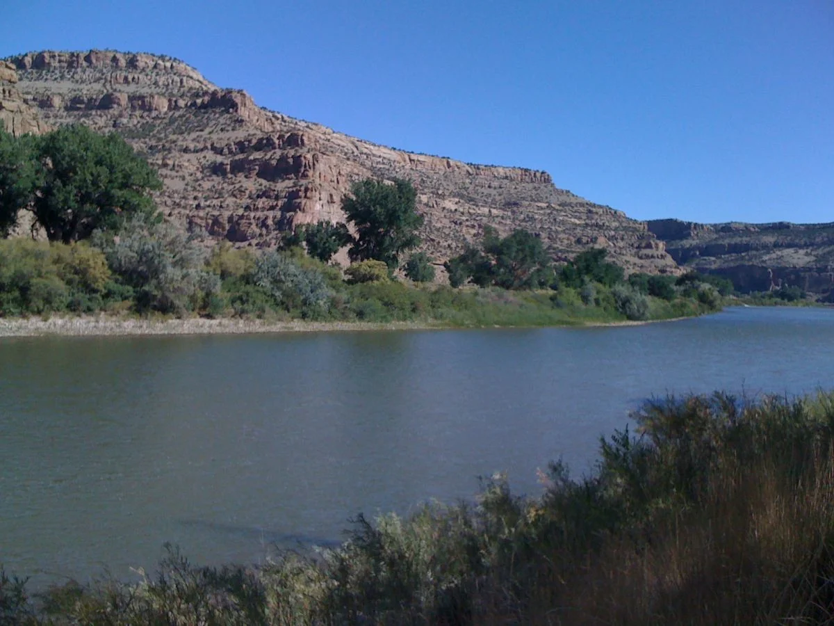 Long Haul - 1189.jpg