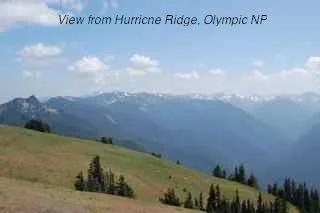 Long Haul - 1372.jpg