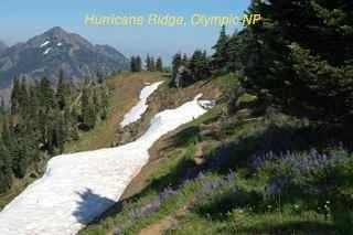 Long Haul - 1375.jpg