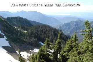 Long Haul - 1377.jpg