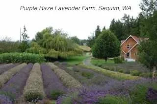 Long Haul - 1379.jpg