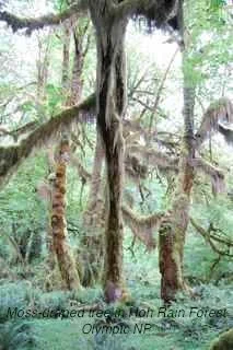 Long Haul - 1384.jpg