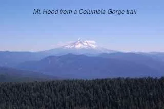 Long Haul - 1385.jpg