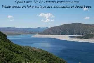 Long Haul - 1389.jpg