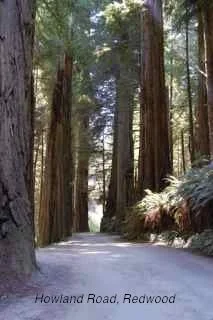 Long Haul - 1409.jpg