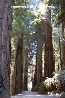 Long Haul - 1410.jpg