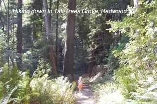 Long Haul - 1412.jpg