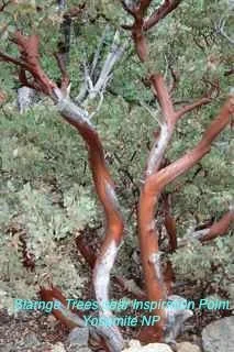 Long Haul - 1416.jpg