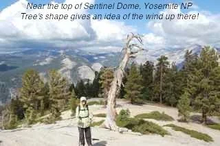 Long Haul - 1423.jpg