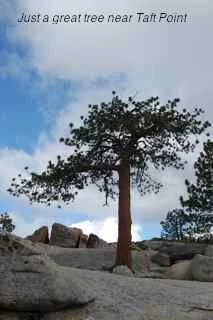 Long Haul - 1426.jpg