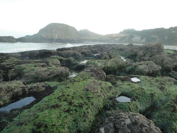 Long Haul - 1503.jpg