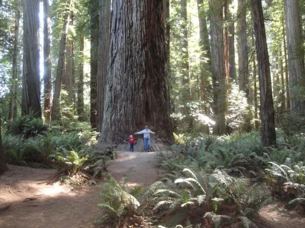 Long Haul - 1505.jpg