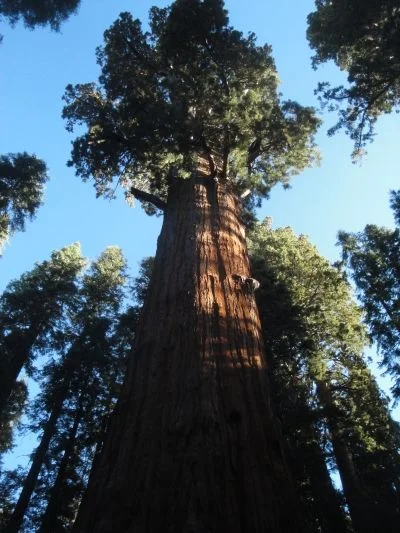 Long Haul - 1514.jpg