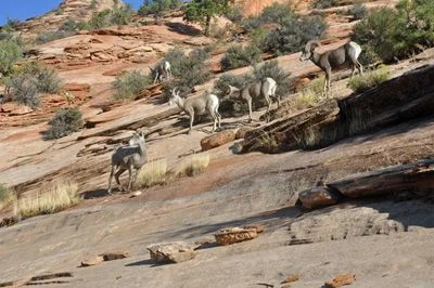 Long Haul - 1729.jpg