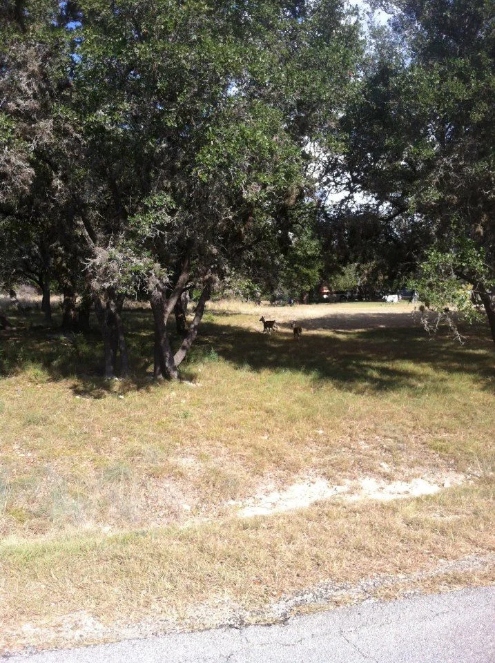 Long Haul - 1814.jpg