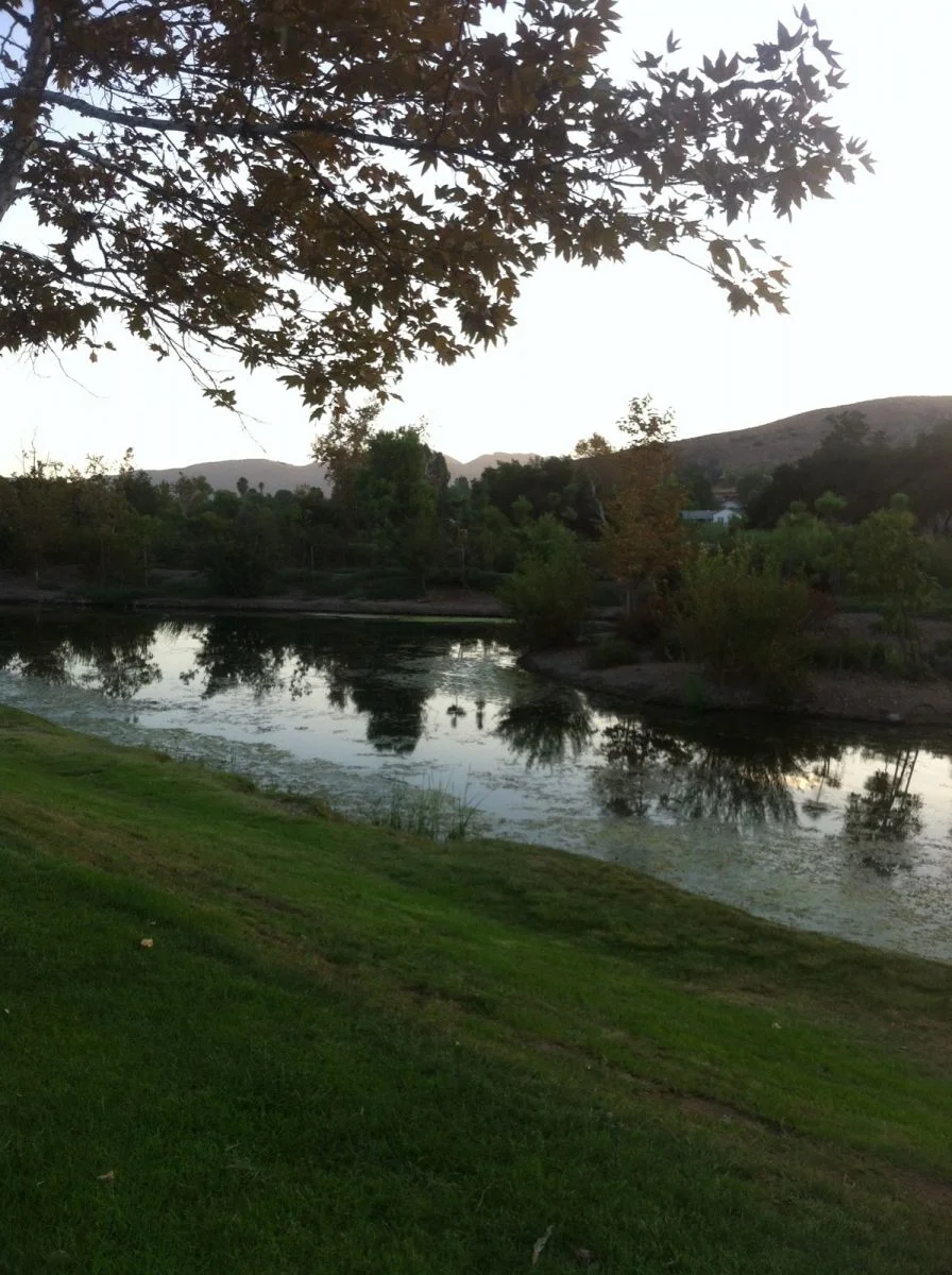 Long Haul - 1856.jpg