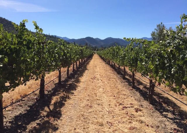 Long Haul - 3629.jpg