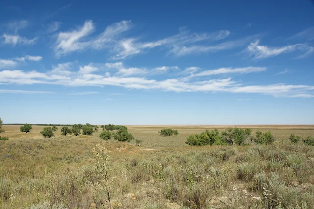 Long Haul - 3634.png