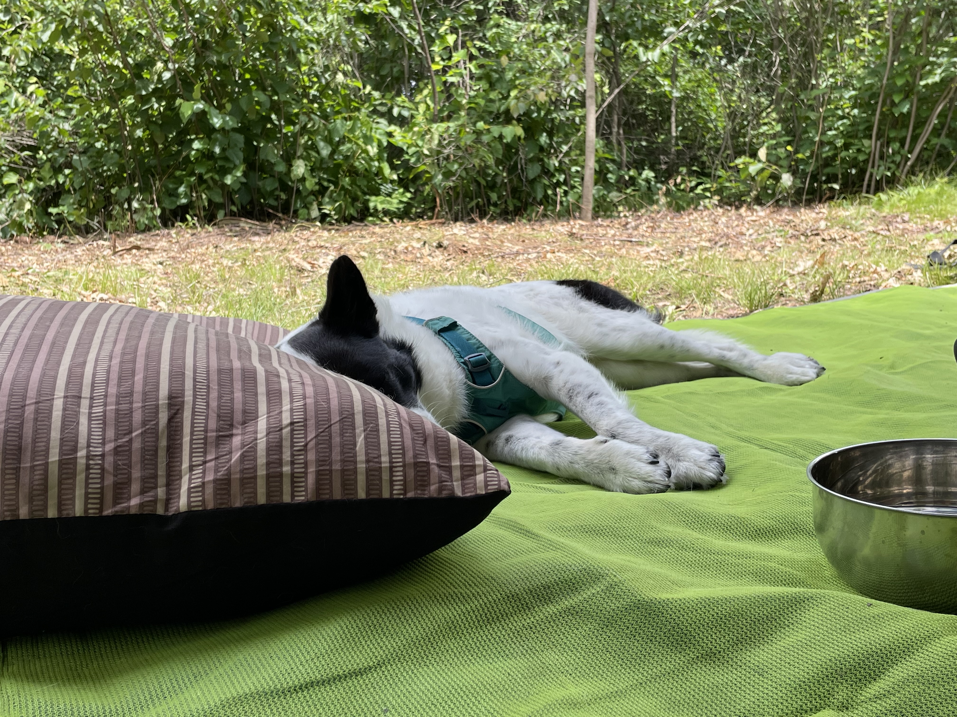 Nap time