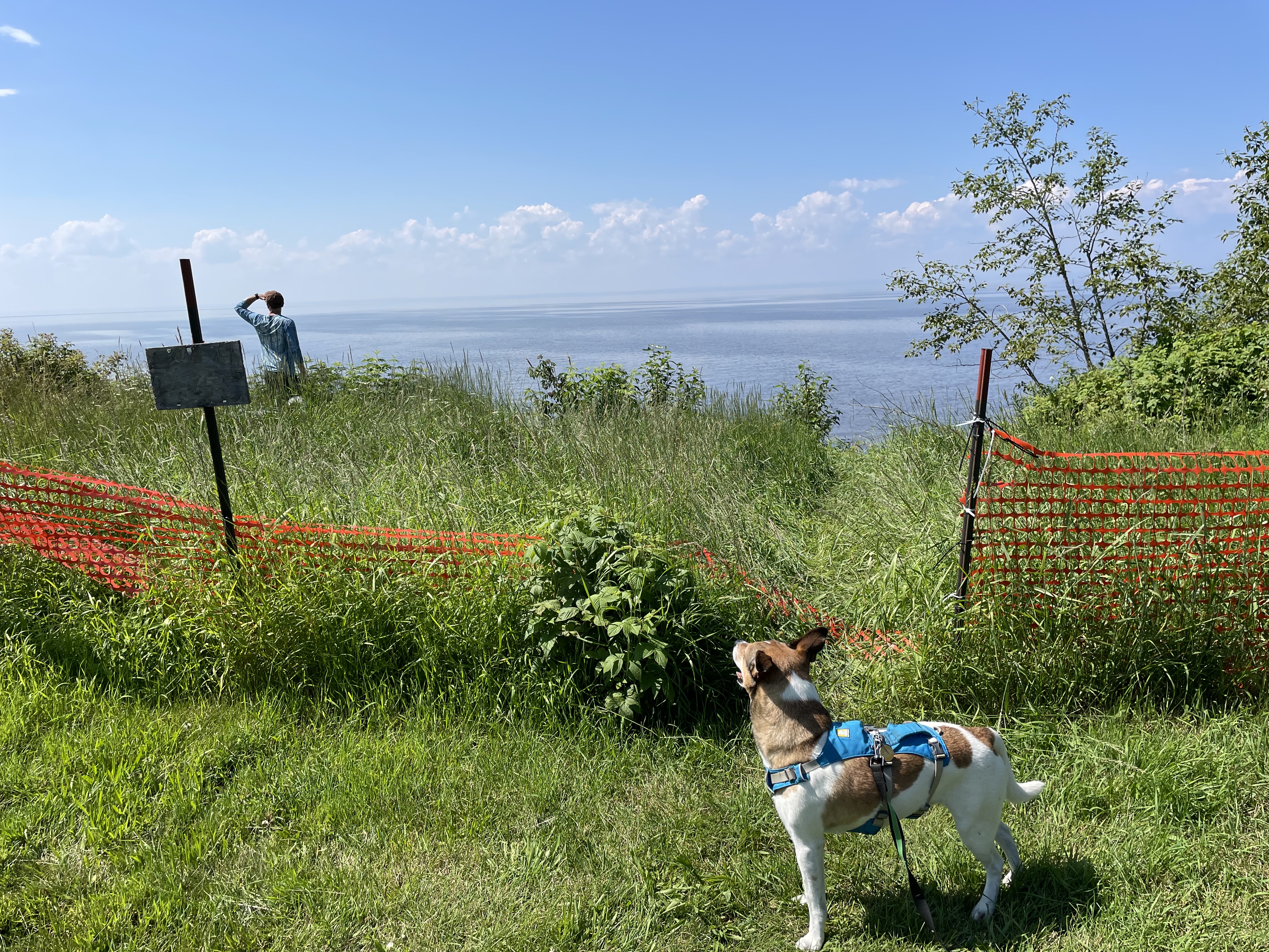 Overlook