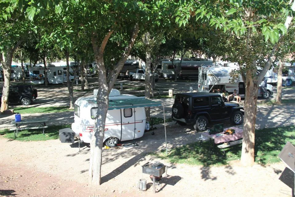 Scamp At Arches 2013