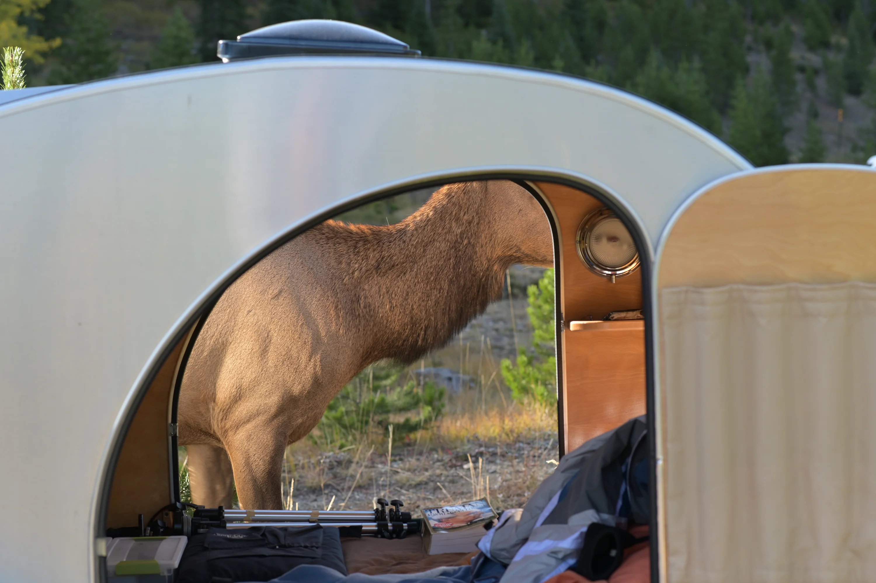 Timber Creek Campground